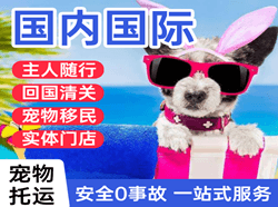 大同云冈空运公司国际宠物托运 【国